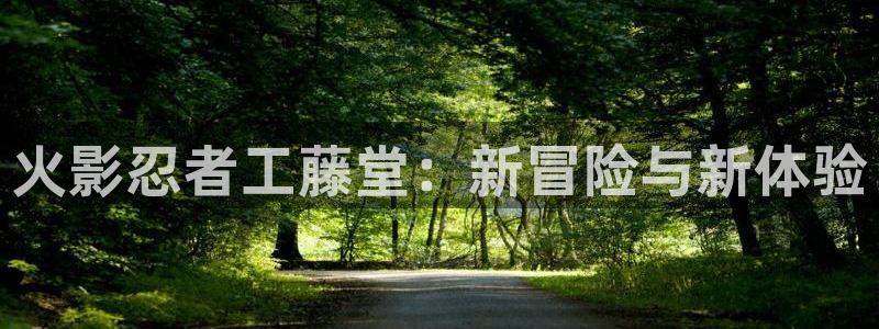 羞羞漫画入口观看：火影忍者工藤堂：新冒险与新体验