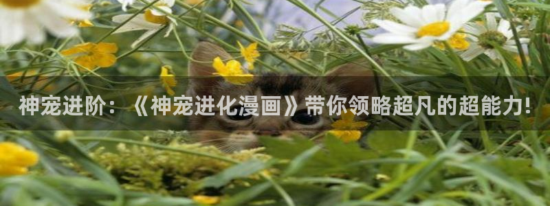 羞羞漫画免费观看网址：神宠进阶：《神宠进化漫画》带你领略超凡的超能力!