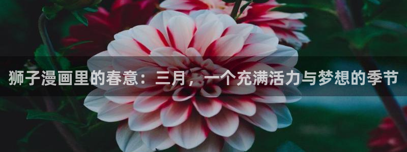 韩漫羞羞漫画免费无遮挡