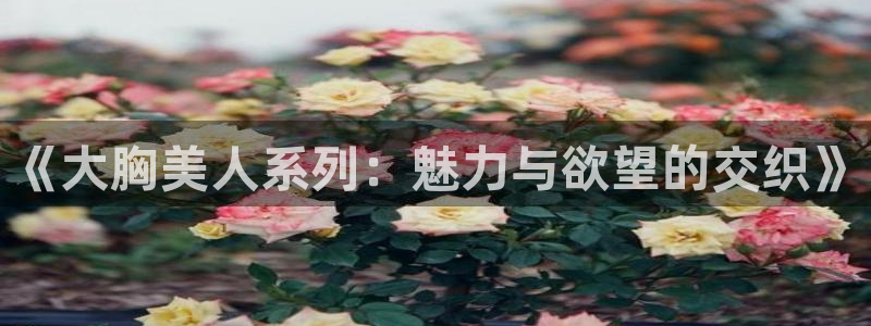 羞羞漫画全免费：《大胸美人系列：魅力与欲望的交织》