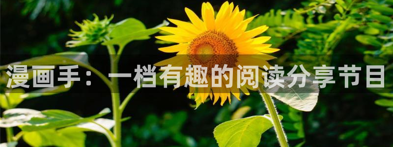 无遮挡18禁啪啪羞羞漫画：漫画手：一档有趣的阅读分享节目