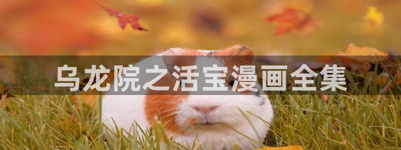 羞羞漫画在线：乌龙院之活宝漫画全集