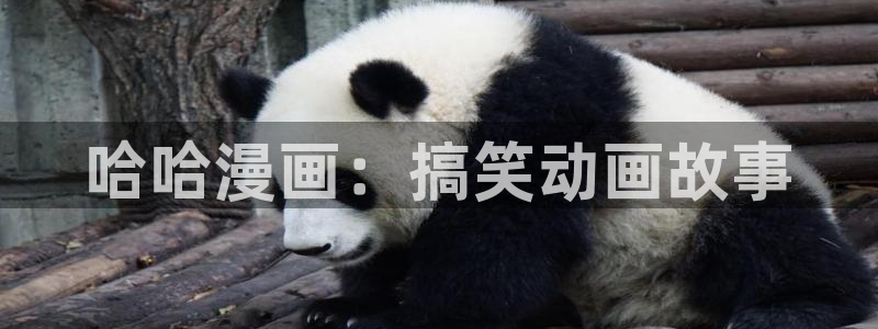羞羞漫画在线进入入口：哈哈漫画：搞笑动画故事