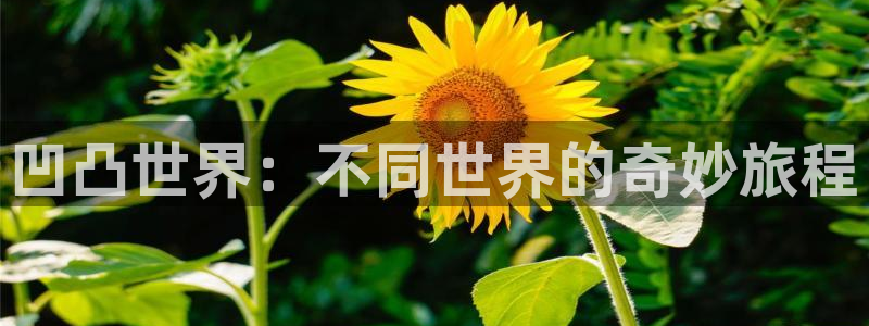 羞羞漫画未删减在线
