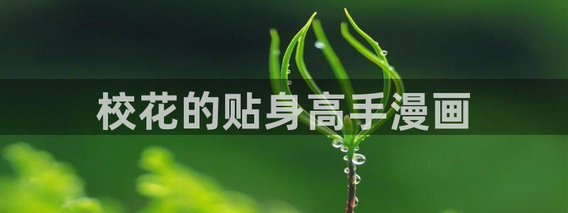 羞羞漫画免费观看动漫免费